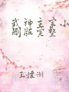 武神主宰小说未删版完整