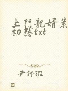 上门龙婿叶辰萧初然txt
