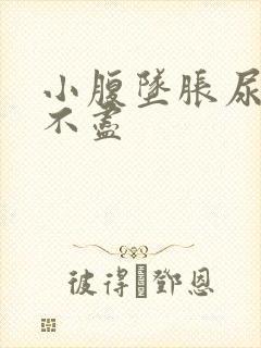 小腹坠胀尿频尿不尽