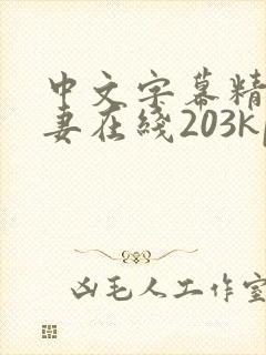 中文字幕精品人妻在线203kpzcom