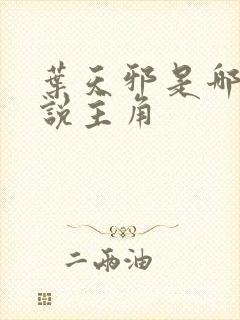 叶天邪是哪部小说主角