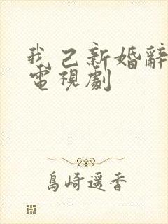 我己新婚辞旧情电视剧