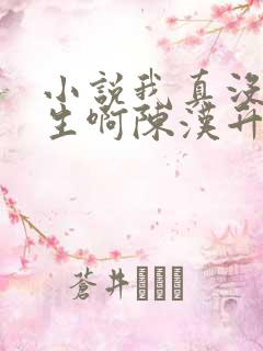 小说我真没想重生啊陈汉升正版