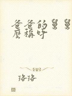 爸爸的舅舅叫什么称呼