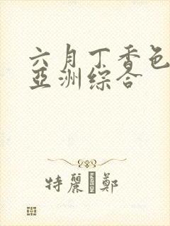 六月丁香色婷婷亚洲综合