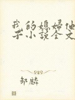 我的媳妇他的妻子小说全文阅读