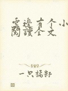 云边有个小卖部阅读全文