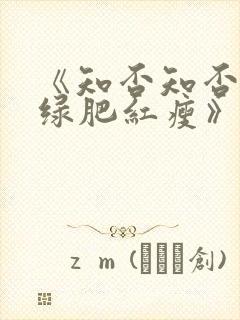 《知否知否应是绿肥红瘦》在线