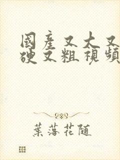 国产又大又黄又硬又粗视频