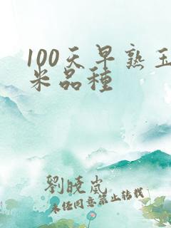 100天早熟玉米品种