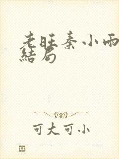 老旺秦小雨最后结局