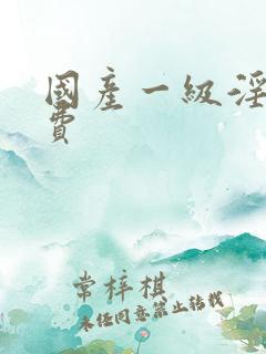 国产一级淫片免费