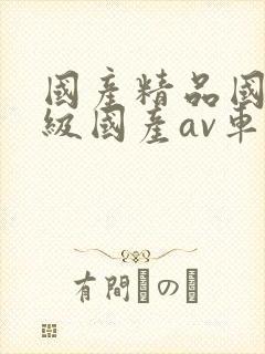 国产精品国产三级国产av车上的