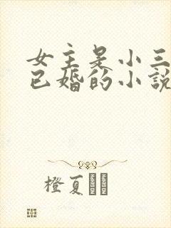 女主是小三男主已婚的小说推荐