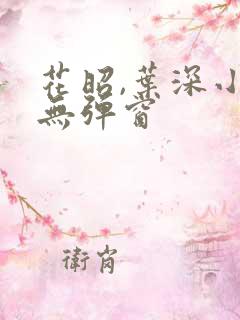 花昭,叶深小说无弹窗
