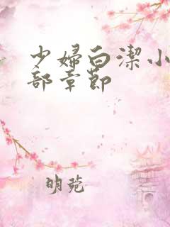 少妇白洁小说全部章节