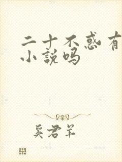 二十不惑有原著小说吗