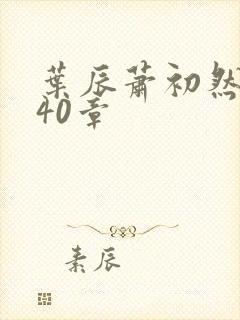 叶辰萧初然2440章