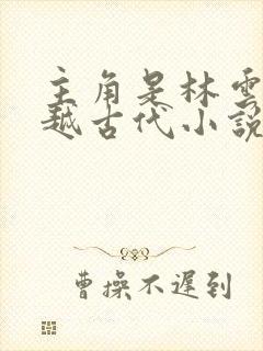 主角是林云的穿越古代小说