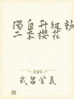 独自升级动漫第二季樱花