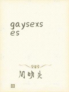 gaysexses