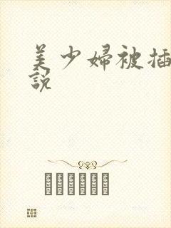 美少妇被插入小说