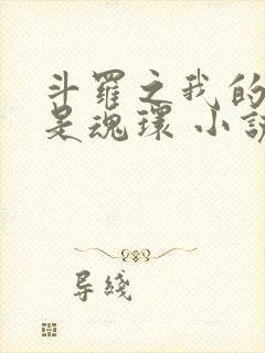 斗罗之我的武魂是魂环 小说