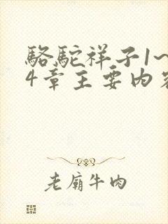 骆驼祥子1~24章主要内容