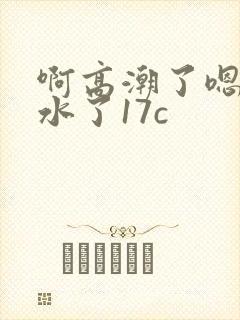 啊高潮了嗯～喷水了17c