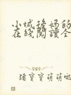 小城后妈的小说在线阅读全文