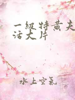 一级特黄夫妻生活大片