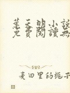 叶天明小说全文免费阅读无弹窗最新章节