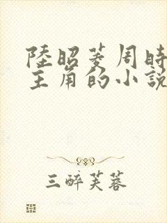 陆昭菱周时阅为主角的小说