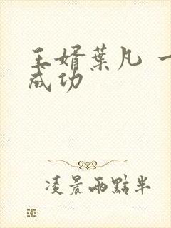 王婿叶凡 一起成功