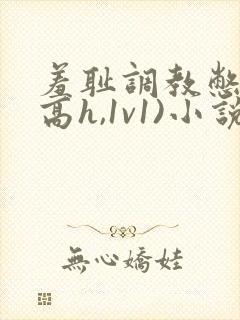 羞耻调教憋尿(高h,1v1)小说