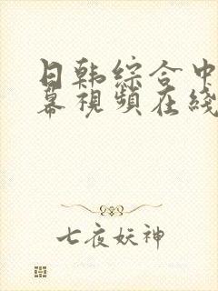 日韩综合中文字幕视频在线