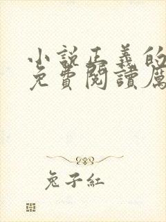 小说正义的使命免费阅读厉元朗