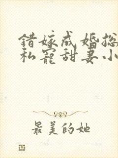 错嫁成婚总裁的私宠甜妻小说