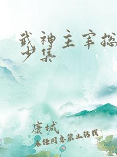 武神主宰总共多少集