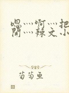 嗯灬啊灬把腿张开灬辣文小说张舒