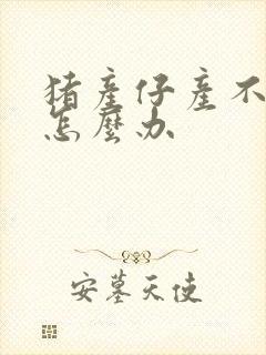 猪产仔产不下来怎么办