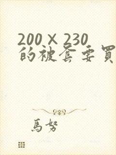 200×230的被套要买多大的被褥