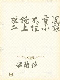 破镜不重圆 男二上位小说推荐