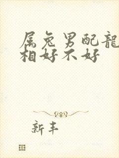 属兔男配龙女属相好不好
