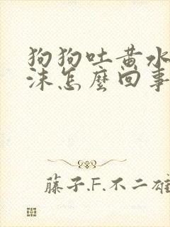 狗狗吐黄水吐白沫怎么回事