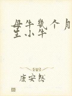 母牛几个月可以生小牛