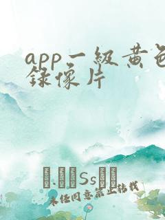 app一级黄色录像片
