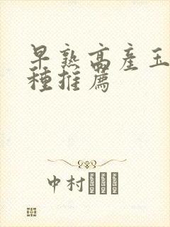 早熟高产玉米品种推荐