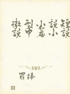 微型小说短篇小说中篇小说长篇小说的确定