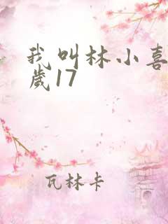 我叫林小喜今年岁17